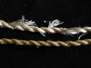 Comparaison de tendons