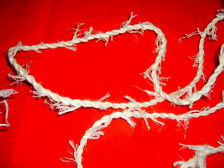 Torsion des fibres de tendon