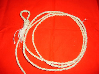 Ajout de brins de tendon