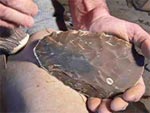 Vidéos de démonstration